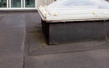 disadvantages of Henllan Amgoed flat roofs